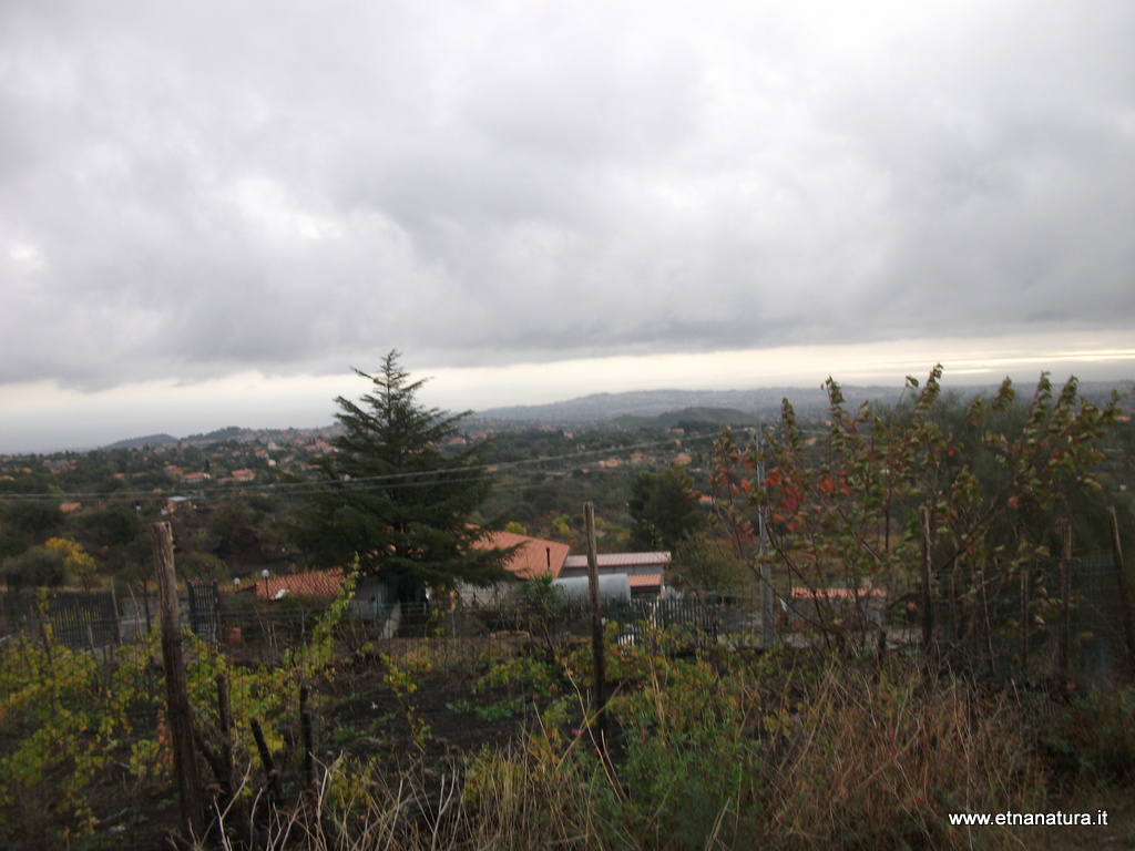 otta Monpeloso-14-11-2012 10-09-06